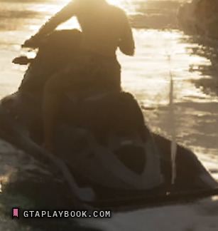 Seashark — rear