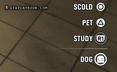 Commanding a dog in GTA 6