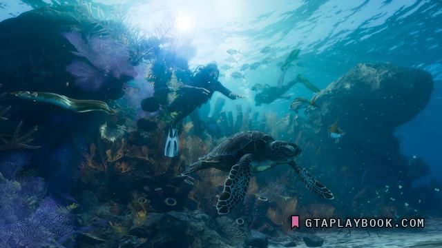 Leonida Keys — Duikers bij een rif met een zeeschildpad en een